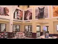 Peggy Adams Animal Rescue League unveils new pet adoption center