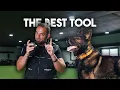 RE THINK the ELECTRIC Collar You re using it WRONG