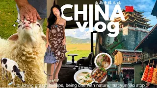 CHINA VLOG 🇨🇳 the BEST FAIRYTALE destination, petting sheeps in nature, first time in shangrila