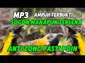 Download Lagu Mp3 suara pikat sogon, mp3 suara sogon ampuh, terbukti pasti poin sogon suara anti zong