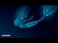 417Hz || CLEANSES OUT ALL NEGATIVE ENERGY from BODY & HOME || Healing Music + Calming Ocean Sounds