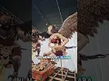 Download Lagu Ogoh ogoh kungkang siwa mendapatkan juara satu di puspem Badung, walaupun sederhana namun bermakna