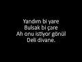 Buray - Deli Divane (sözleri) Music HD