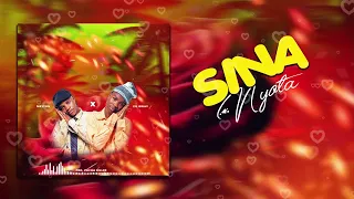 Zil bway x Meytone - Sina Nyota