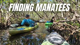 Visiting Sarasota for the First Time | Boating Journey