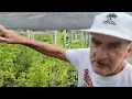 The Best Native Plant Nursery in Texas - Heap s Nursery