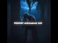 Download Lagu Prophet Muhammad SAW (4K) | Muhammad Naabina (Slowed and Reverb)
