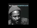 Marvin Gaye ⁞ Can I Get A Witness