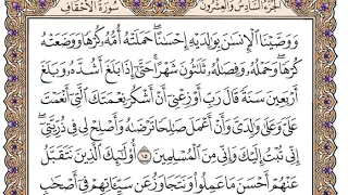 سورة الأحقاف بصوت الشيخ وديع اليمني 