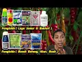 Download Lagu 💯 Fungisida Paling Ampuh Mencegah + Mengatasi Busuk Buah, Batang, Akar ✔️ Bakterisida Fungisida 💯✔️