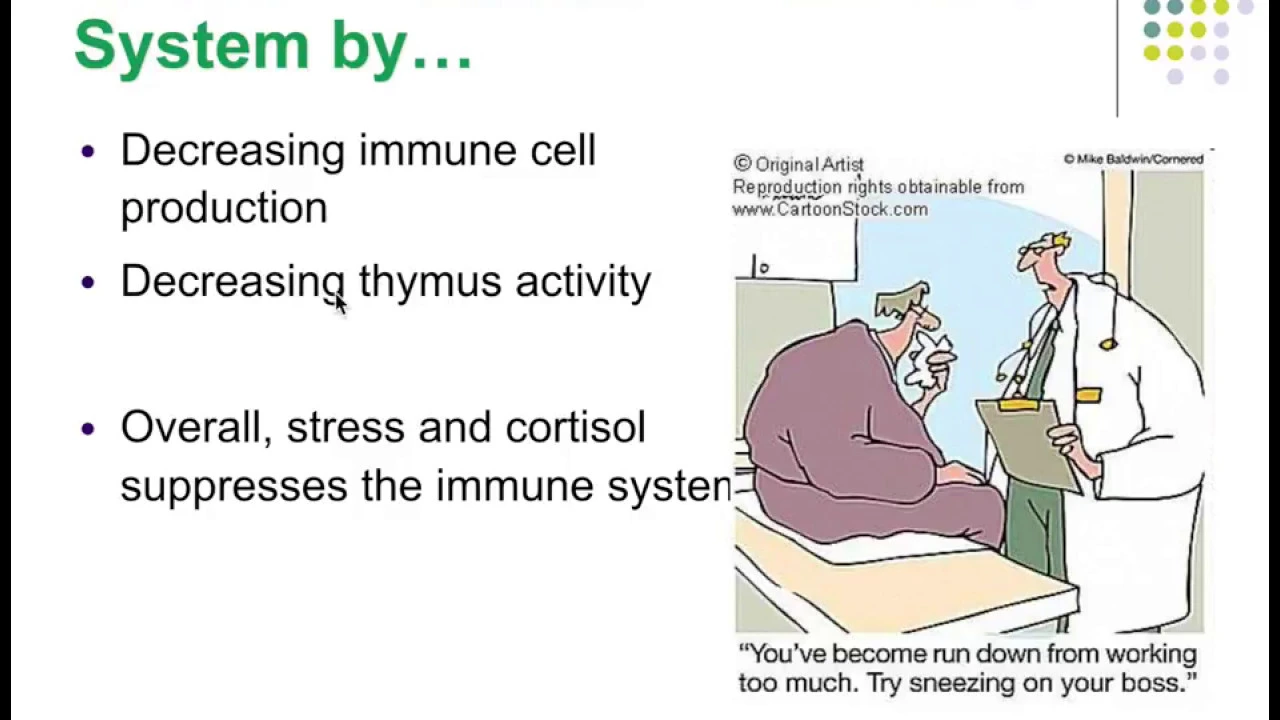 Pathophysiology Ch 2 Homeostasis & Adaptive Response to Stressors