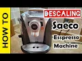 Descaling Saeco Odea Go Espresso machine