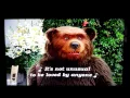 Download Lagu THE COUNTRY BEARS