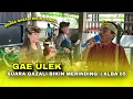 Lagu LAGU SASAK GAE ULEK || SUARA GAZALI BIKIN MERINDING SANGAT MERDU || ALBA 05