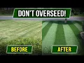 STOP OVERSEEDING There s a Cheaper Way