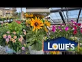 LOWES BEST NEW PLANTS-ARRIVALS CLEARANCE FOR SUMMER AND FALL I HOW TO MAKE YOUR GARDEN BEAUTIFUL