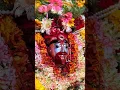 Download Lagu Joy maa tara#Joy maa kali #Joy maa Koushiki 🙏🌺#tarapith  date -03/07/2025