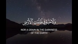 عبد الباسط عبدالصمد بدون حقوق 