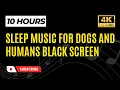 Sleep Music For Dogs and Humans Black Screen 10 Hours