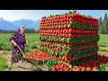 Download Lagu The Fields Were Full of Strawberries, But What Grandma Did Will Surprise You!