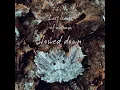 Last Leaves of Autumn (Slowed Down)