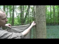 Basic Knots and Tips
