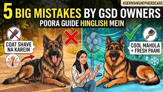 5 BIG MISTAKES BY GSD OWNERS ❌ German Shepherd Owners Ki 5 Badi Galtiyan!