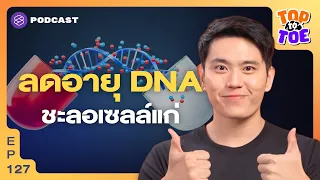 ไมโทคอนเดรียคืออะไร และจะดูแลให้มีสุขภาพดีได้อย่างไร