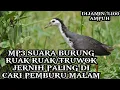 Download Lagu MP3||suara burung ruak-ruak (truwok) cocok untuk berburu malam