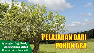 Download Renungan Pagi Anak dan Pelajar, 25 Oktober- PELAJARAN DARI POHON ARA MP3