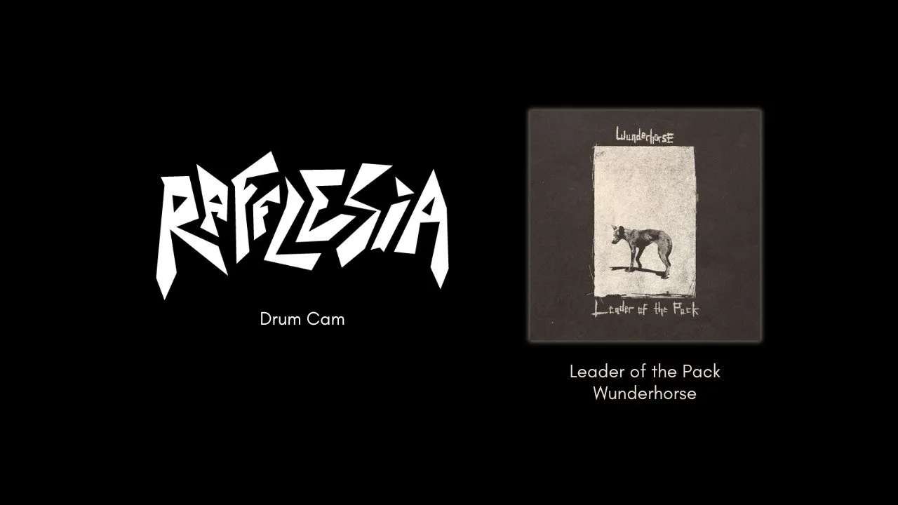 Rafflesia - Leader of the Pack (Wunderhorse cover) Rafflesia - Leader of the Pack (Wunderhorse cover)