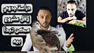 دراسة جدوي علي ارض الواقع لمشروع السمان التفاصيل الكاملة عن المشروع 