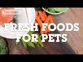 Whole Foods for Pets