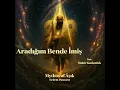 Download Lagu Erdem Pancarcı - Aradığım Bende İmiş  (feat. Mahir Kutlutürk) |  Mythos of Âşık 2025