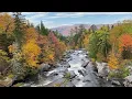 New England Fall Foliage Wilson s Mills Maine 2022