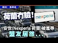 荷蘭冇臉！安世(Nexperia 荷蘭)被羞辱，盟友居然⋯⋯