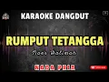 RUMPUT TETANGGA - Noer Halimah || KARAOKE NADA PRIA