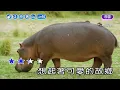 故鄉~葉啟田~男原調~伴奏~導唱甲