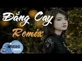 Download Lagu Lệ Quyên - Đắng Cay Remix 2017