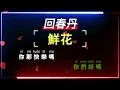 回春丹 - 鮮花【原唱KTV字幕+繁體Mandarin+Pinyin+高音質】