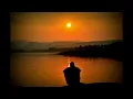Monkey Safari - Safe