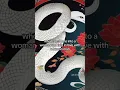 Download Lagu Myths and Legends from Asia: The Legend of the White Snake from China #history #legend #china