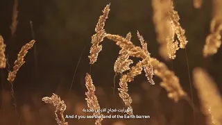 قــالوا وقــالوا ــ عبدالله المهداوي 