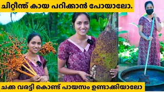 ചിറ്റീന്ത് കായ പറിക്കാൻ പോയാലോ..@saranyasbeautyvlogs 
