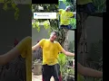 Download Lagu Aduh, Kenapa Segar? (Minum Segar) (Sebelum Di-edit)
