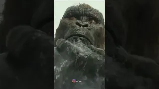 اجمل افلام القرود مشاهير  اجمل افلام القرود مشاهير