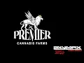 MALIBU Z CANDY from 517 PREMIER ENTRY 22 STRAIN REVIEW