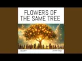 Download Lagu Flowers Of the Same Tree