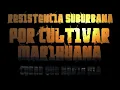Por Cultivar Marihuana - Resistencia Suburbana (Cosas que nadie oía)