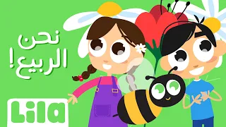 نحن الربيع ريمي بندلي ليلا تي في 